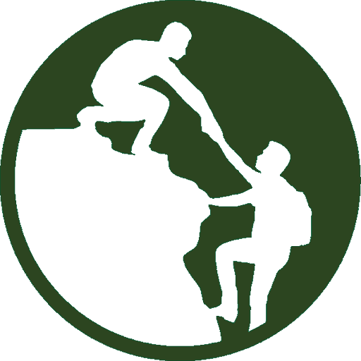 CFI logo new 200625 favicon 512 green